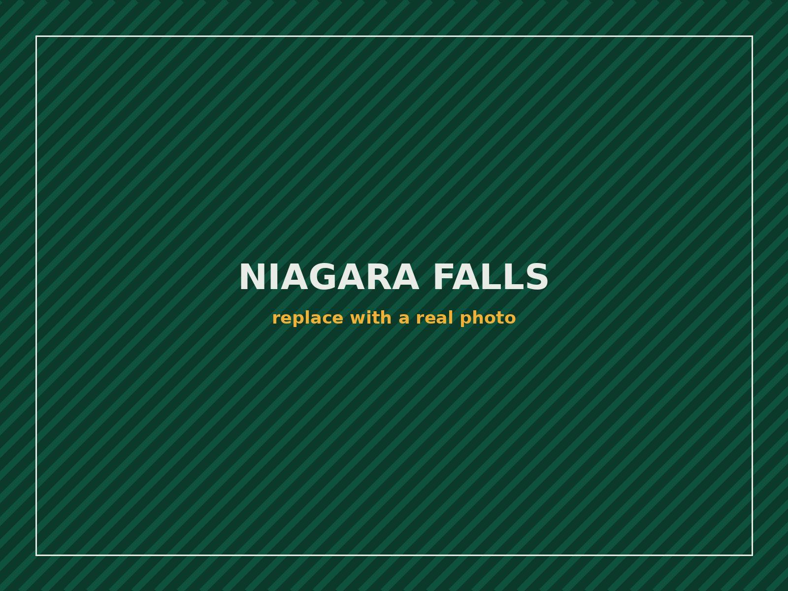 Niagara Falls viewpoint reached on a full day private car tour from Orange County New York